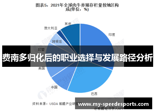 费南多归化后的职业选择与发展路径分析