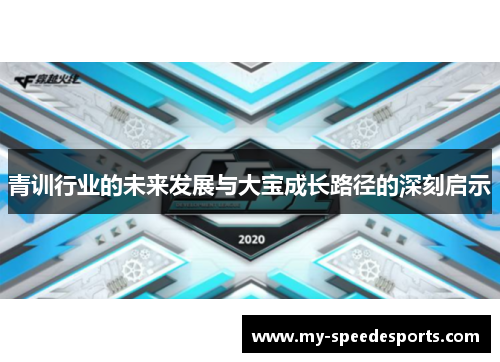 青训行业的未来发展与大宝成长路径的深刻启示